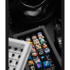 Axis32 Metal Optical-Switch Storage Box, Magnetic Display Rack with Black Silicone Pillar