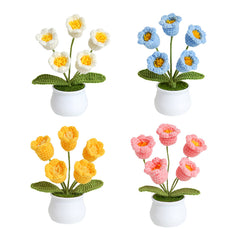 DIY Crochet Kit for Yarn Ornaments - Complete Set with Accessories & Video Tutorial