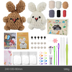 DIY Crochet Kit with English Instructions & Video Tutorial, Home Decor Craft Gift (2 Adorable Bunnies)