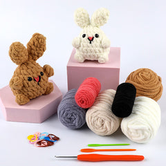 DIY Crochet Kit with English Instructions & Video Tutorial, Home Decor Craft Gift (2 Adorable Bunnies)