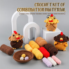 DIY Crochet Kit with English Instructions & Video Tutorial, Home Decor Craft Gift (3 Interchangeable Head Chickens)
